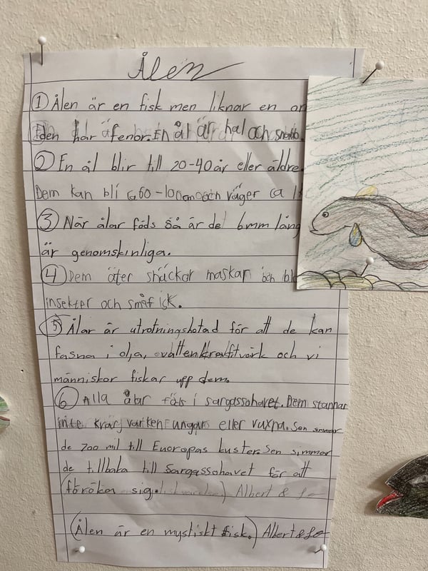 åk 3 bild 3