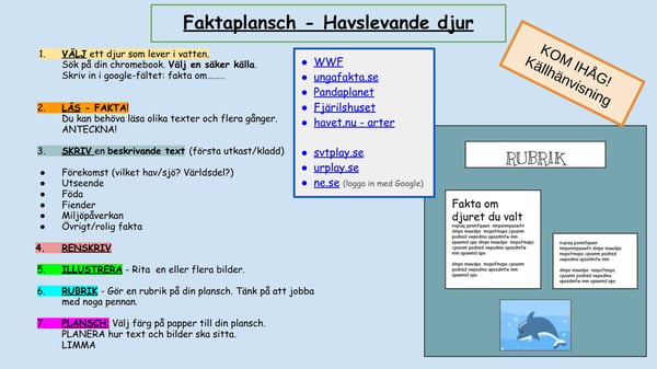 2 Faktaplansch - Havslevande djur