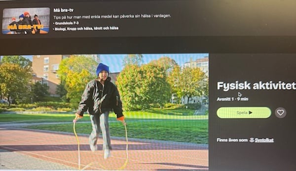 Grön flagg