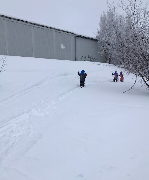 Skärmbild 2026-03-27 101600