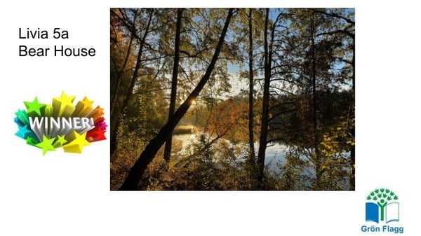 Winners Autumn Photo Competition 2025 (1)