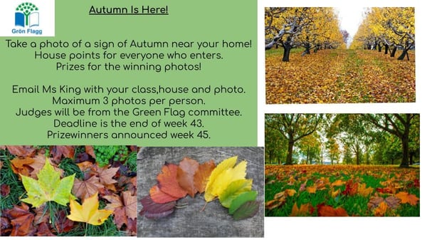 _Green Flag_Autumn Photo competition