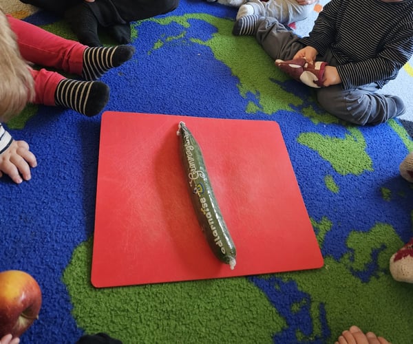 matpedagogik