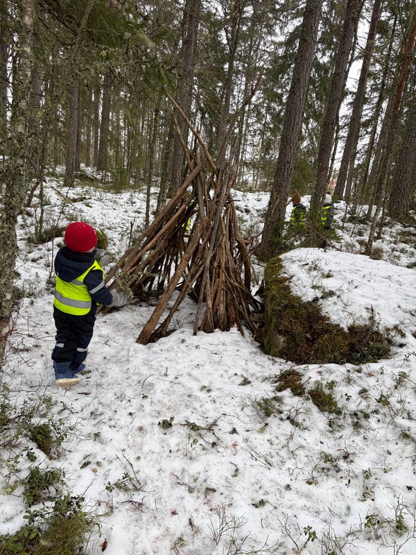 skogen